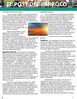 16 de noviembre de 2025 - Rayos curativos