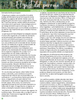 27 de septiembre de 2026 - Seguimiento